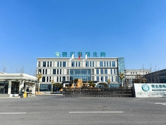 Shandong Saikesaisi Hydrogen Energy Co., Ltd γραμμή παραγωγής του κατασκευαστή